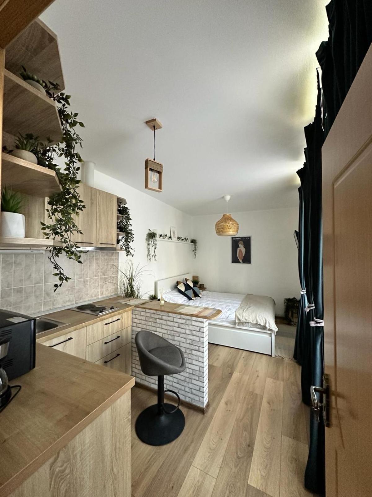 Zen Studio Brașov Exterior foto